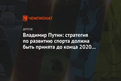 Владимир Путин: стратегия по развитию спорта должна быть принята до конца 2020 года