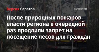 После природных пожаров власти региона в очередной раз продлили запрет на посещение лесов для граждан