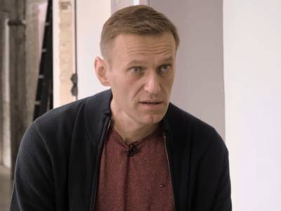 "Мужчина, только не отключайтесь": Навальный рассказал Дудю, как умирал от "Новичка"