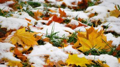 «Снег и гололед»: в Башкирии резко ухудшится погода