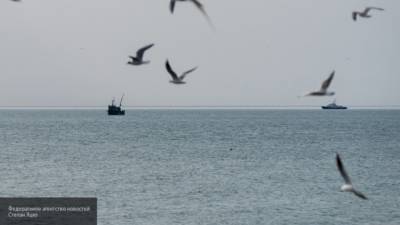 В Сети обсуждают видео опасного спуска в море сочинской туристки