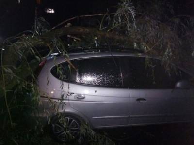 В Ивано-Франковске в результате бури повреждены дома и машины