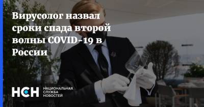 Вирусолог назвал сроки спада второй волны COVID-19 в России