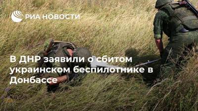 В ДНР заявили о сбитом украинском беспилотнике в Донбассе