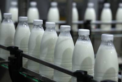 На 4% увеличилось производство молока в Нижегородской области