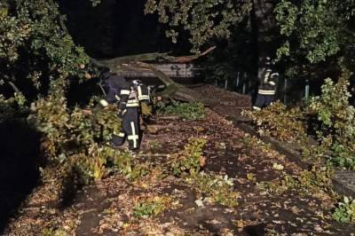 Подтопления, поваленные деревья и повреждения линий электропередач: В Ивано-Франковске борются с последствиями масштабного ливня