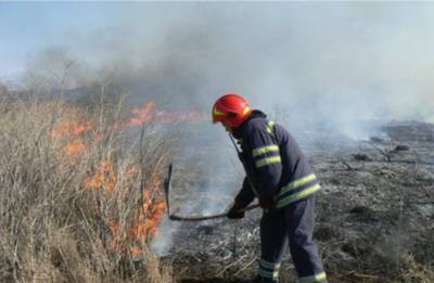 Харьковщину охватили масштабные пожары, спасатели сбились с ног: "Десятки гектаров"