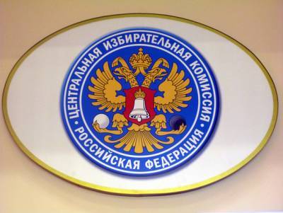 ЦИК не будет добиваться расформирования петербургского горизбиркома