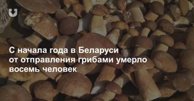 С начала года в Беларуси от отправления грибами умерло восемь человек