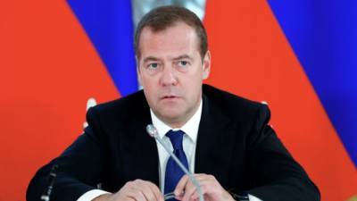 Медведев высказался о темпах ликвидации экологического ущерба в России