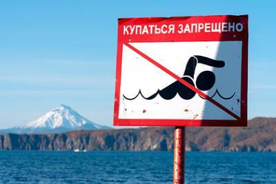 Описаны повреждения полигона ядохимикатов возле загрязненного пляжа на Камчатке