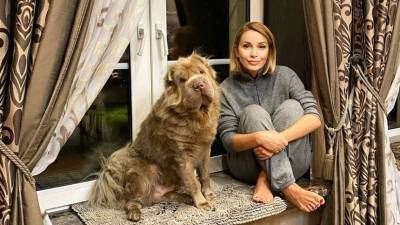 «Очередной приступ»: Орлова не может вылечить любимого пса от лихорадки