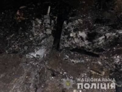 В Киевской области разбился «самодельный» самолет: погибли два пилота