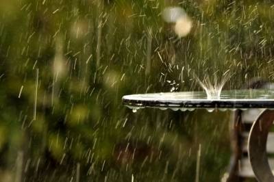 Дожди и порывистый ветер: синоптик дала прогноз погоды на 7 октября
