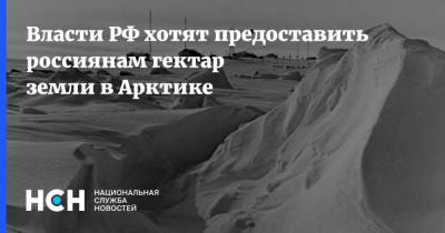 Власти РФ хотят предоставить россиянам гектар земли в Арктике