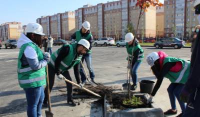 В Восточном округе Тюмени посадили клены и ивы