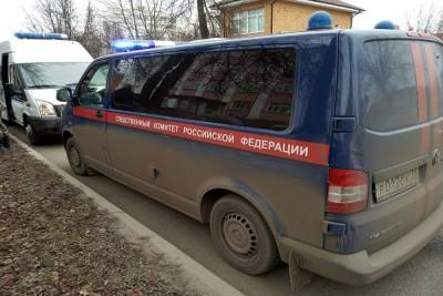 По факту пропажи 15-летней девочки в Богородицке возбуждено уголовное дело