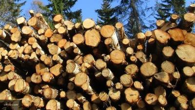 Власти Москвы выполнили более двух тысяч заявок на доставку дров дачникам