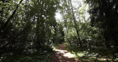Жители хотят добиться для Светлогорского леса статуса особо охраняемой природной территории