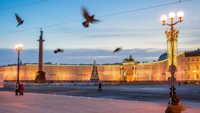 Суд подтвердил наличие "праздничного картеля" в Петербурге
