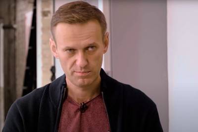 Разработчик «Новичка» оценил внешний вид Навального во время интервью Дудю