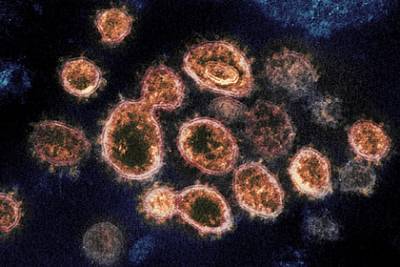 Названы новые способы предотвратить заражение коронавирусом