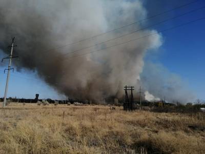 Пожары на Луганщине: полиция установила четыре очага возгорания