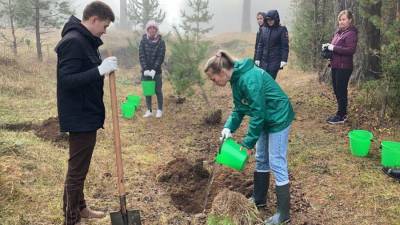Волонтеры массово присоединяются к всероссийской акции «Сохраним лес»