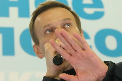 Создатель «Новичка» оценил вид Навального на интервью Дудю
