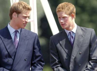 принц Уильям - принц Гарри - Роберт Лейси - Принц Уильям подключал родственников, чтобы отговорить Гарри жениться на Меган - bimru.ru - Англия - шт. Калифорния