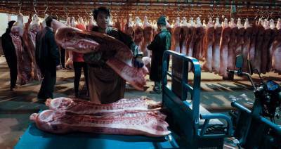 Минсельхоз США: Россия наращивает экспорт свинины и не импортирует нашу