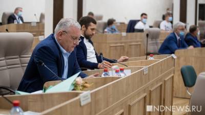 Екатеринбургские депутаты заблокировали поправки, разрешающие уплотнительную застройку: «Нас жители проклянут, если примем такое»