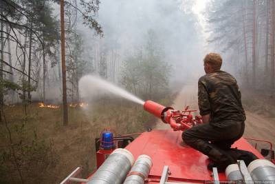 В Воронежской области отсекают огонь от села в Богучарском районе