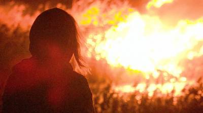 Поджигателей травы в Воронежской области в сентябре оштрафовали на 1,4 млн рублей