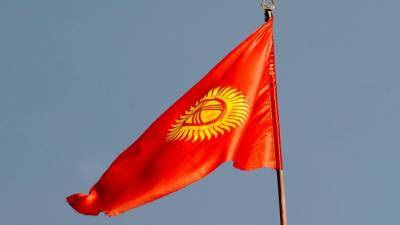 Депутат Госдумы заявил о вмешательстве третьих стран в ситуацию в Киргизии