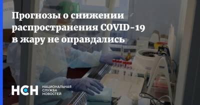 Прогнозы о снижении распространения COVID-19 в жару не оправдались