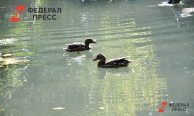 Ученые просят о филиале водных проблем РАН в Крыму