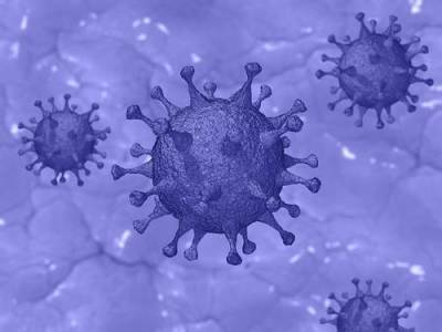 Эпидемиолог Пшеничная предположила, что коронавирус будет активен в России еще два года