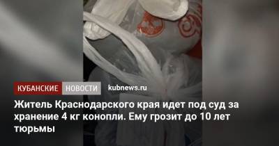 Житель Краснодарского края идет под суд за хранение 4 кг конопли. Ему грозит до 10 лет тюрьмы