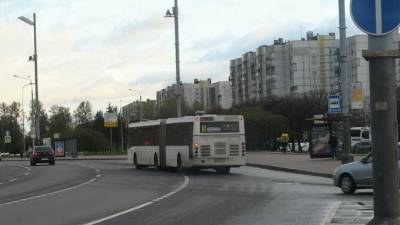 В Приморском районе временно изменятся маршруты автобусов