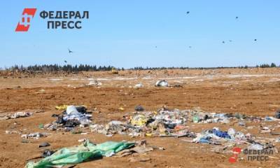 Лес возле мусорного полигона под Екатеринбургом превратился в свалку