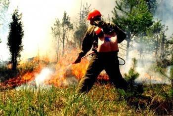 На Вологодчине не зафиксировали ни одного крупного лесного пожара