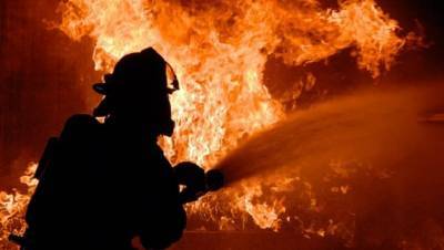 В Воронежской области тушат уже третий природный пожар
