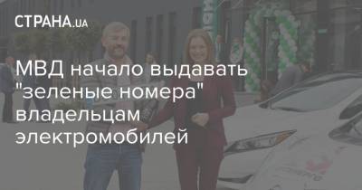МВД начало выдавать "зеленые номера" владельцам электромобилей - strana.ua