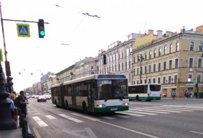 Назван самый популярный автобусный маршрут Петербурга