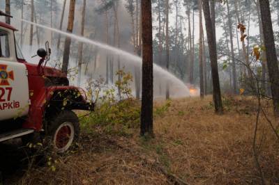 Пожары в Луганской области: полиция выяснила причины возникновения огня на нескольких участках