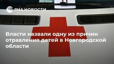 Власти назвали одну из причин отравления детей в Новгородской области