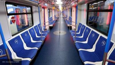 Уроженец Средней Азии угрожал пассажирам в вагоне московского метрополитена