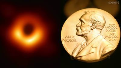 Альберт Эйнштейн - Роджер Пенроуз - Астрофизик объяснил, почему «Нобелевку» получили исследователи черных дыр - riafan.ru - Россия - США - Англия