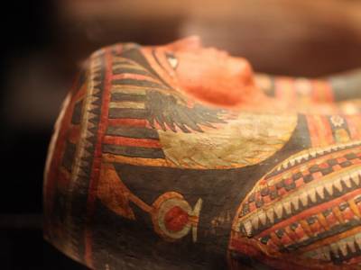 Ученые изучили мумию и узнали о рационе жителей Древнего Египта